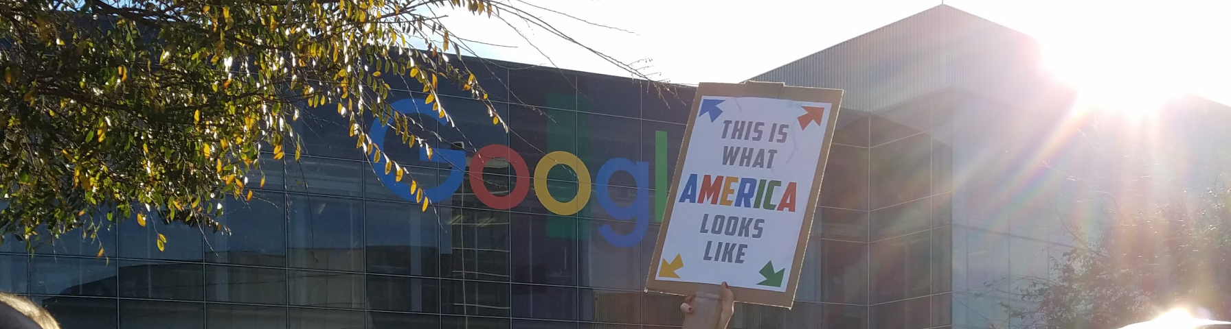 Portrait of Pej Vosooghi